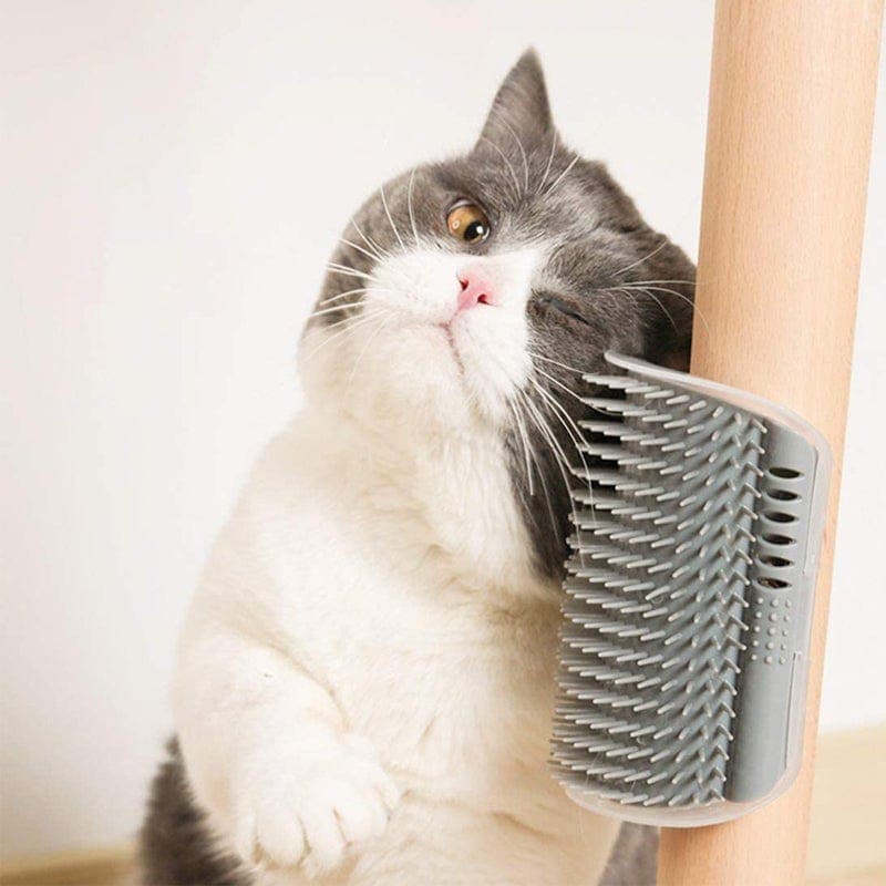 Cat Corner Scratcher