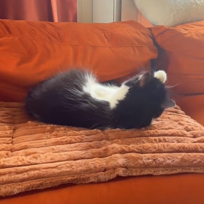 Snoozey™ Self-Heating Pet Bed