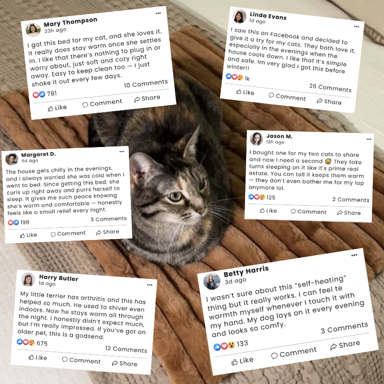 Snoozey™ Self-Heating Pet Bed