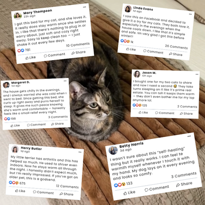 Snoozey™ Self-Heating Pet Bed